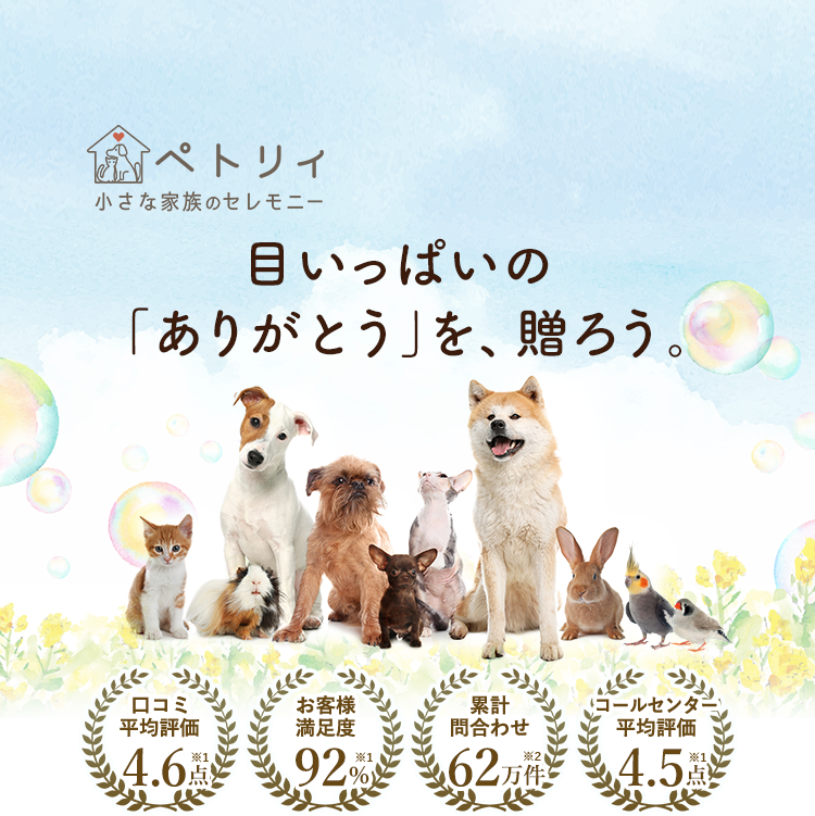 犬が死んだら埋めて平気 土葬方法と注意点 集合住宅での供養を解説 ペトリィ 小さな家族のセレモニー