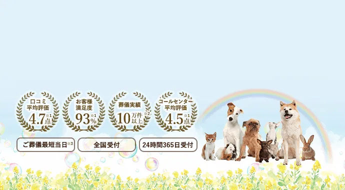 ペットが死んだらするべきこと｜適切な届け出と供養で愛のある見送りを