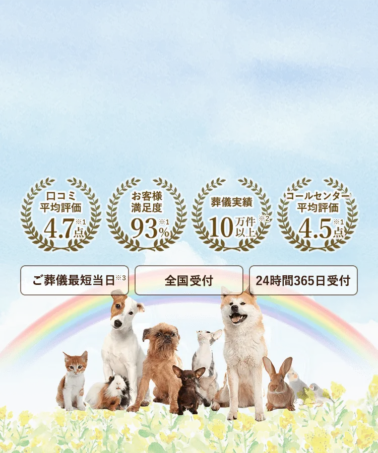 ペットが死んだらするべきこと｜適切な届け出と供養で愛のある見送りを