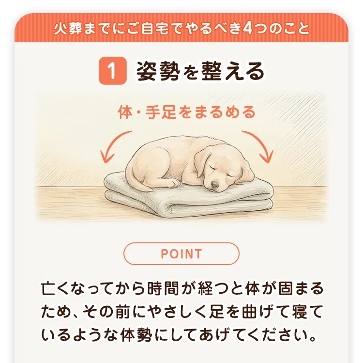 火葬までにご自宅でやるべき4つのこと 1 姿勢を整える 体·手足をまるめる 亡くなってから時間が経つと体が固まるため、その前にやさしく足を曲げて寝ているような体勢にしてあげてください。