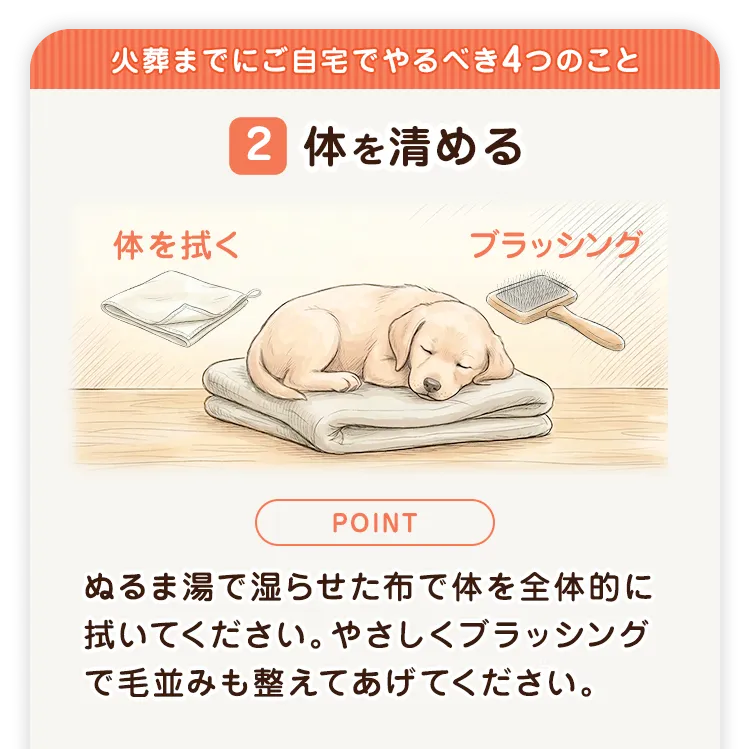 火葬までにご自宅でやるべき4つのこと 2 体を清める 体を拭く ブラッシング ぬるま湯で湿らせた布で体を全体的に拭いてください。やさしくブラッシングで毛並みも整えてあげてください。