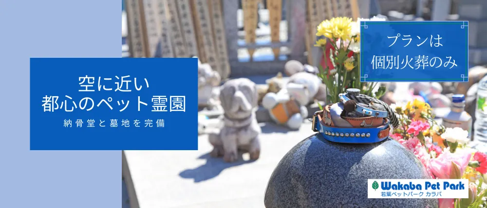 若葉ペットパーク カラバ