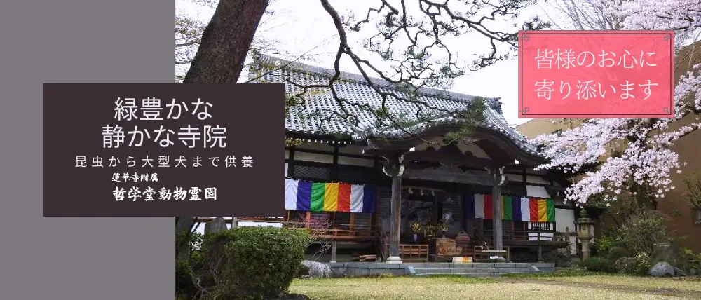 哲学堂動物霊園