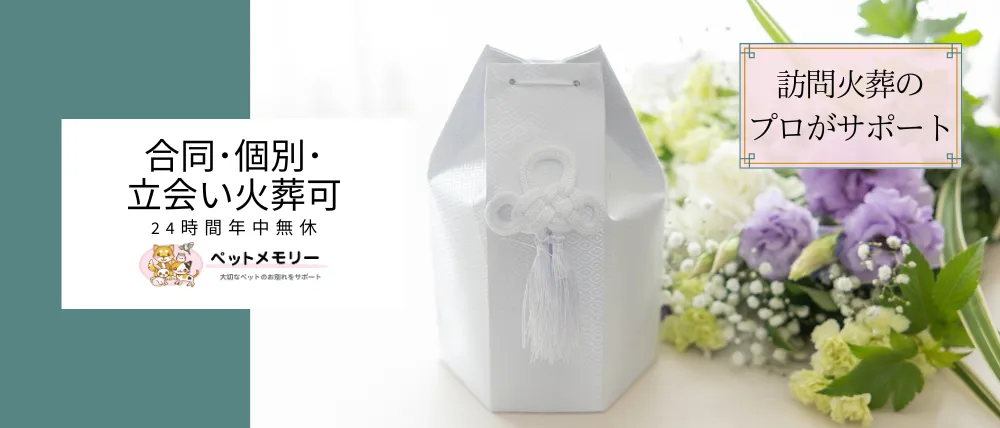 ペットメモリー