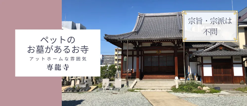 専龍寺