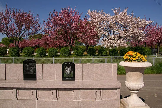 最明寺アニマルヒル