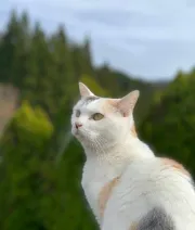 葬儀社スタッフのご紹介