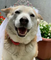 葬儀社スタッフのご紹介