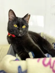 葬儀社スタッフのご紹介